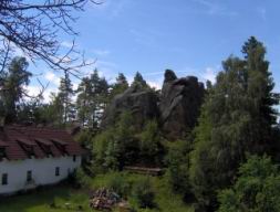 Resize of Talpa 010.jpg